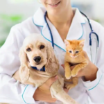 Pet Insurance